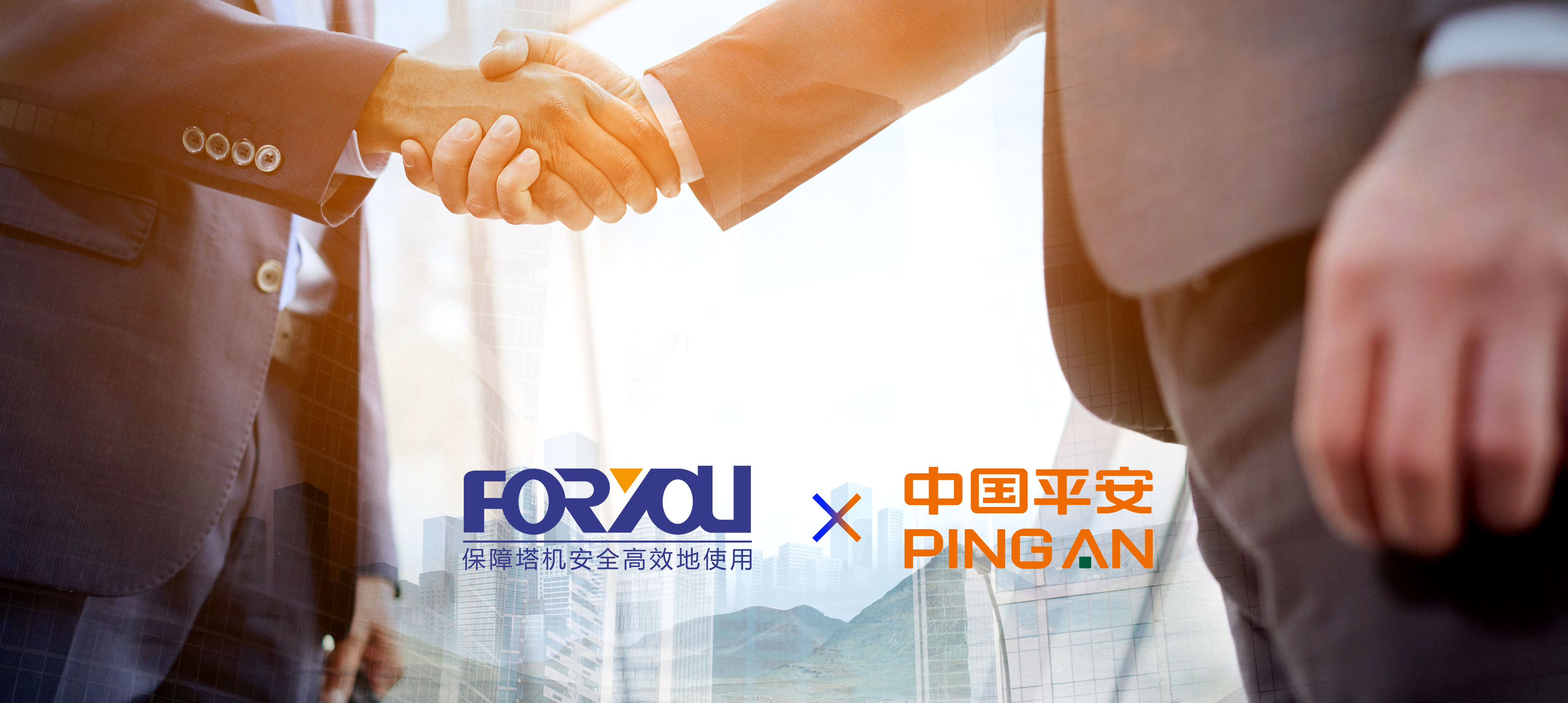 公司发展历程(图1)